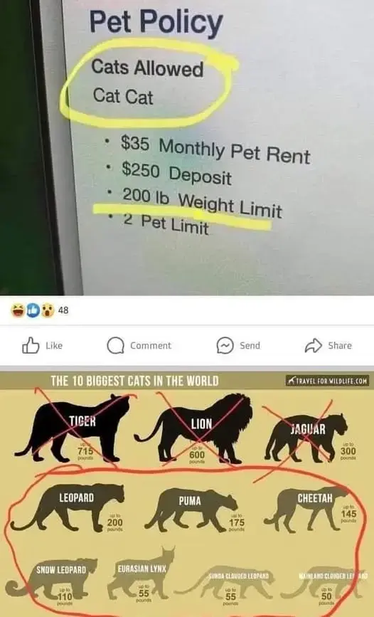 Posted media